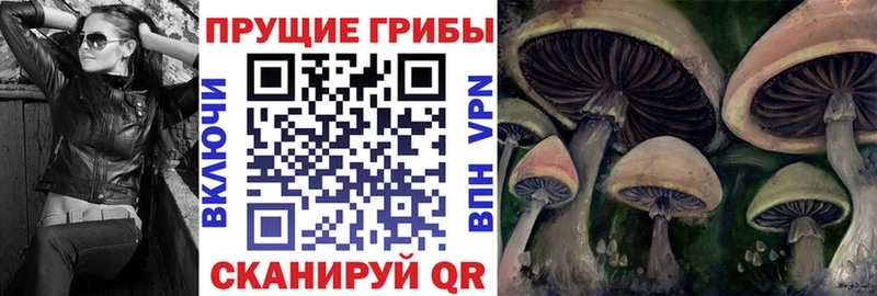 что такое наркотик  Ивдель  Псилоцибиновые грибы Cubensis 